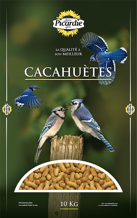 Cacahuètes pour oiseaux sauvages de PICARDIE