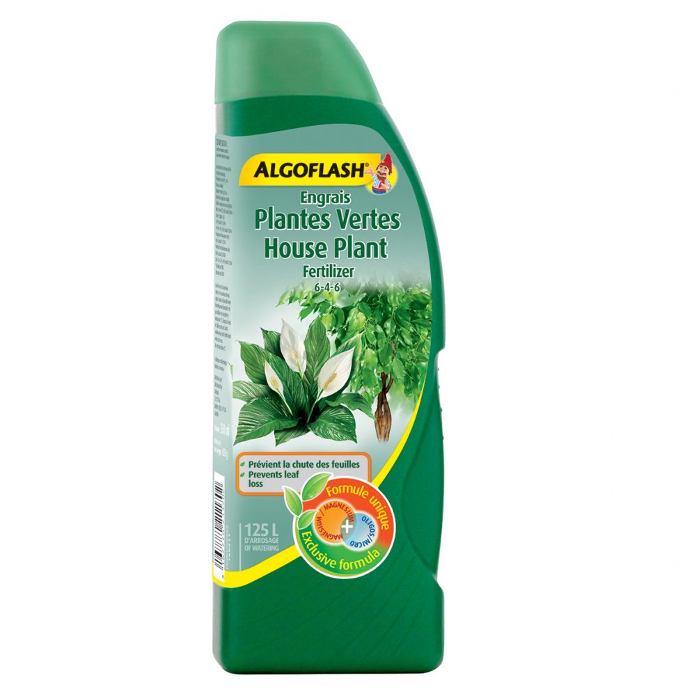 Engrais Algoflash plantes vertes 6-4-6 500mL
