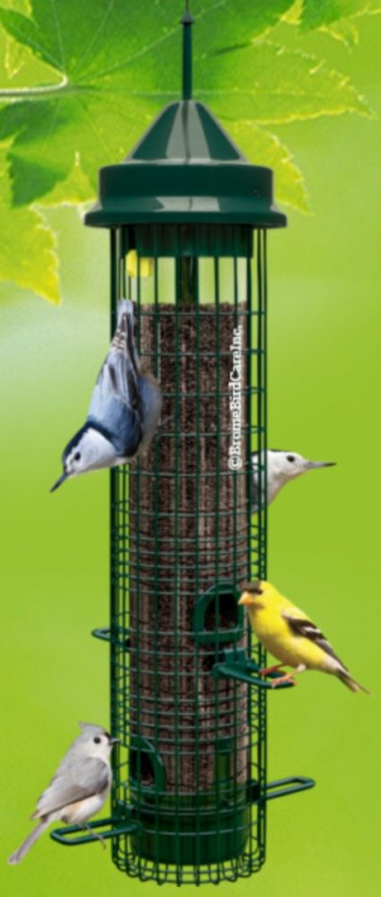 Mangeoire d'oiseaux en tube – Jardinerie Fortier