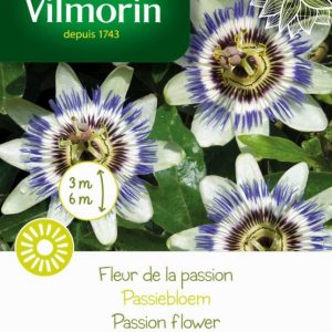 Vilmorin - Graines de mélange fleurs - Éloigne les Pucerons 7m2